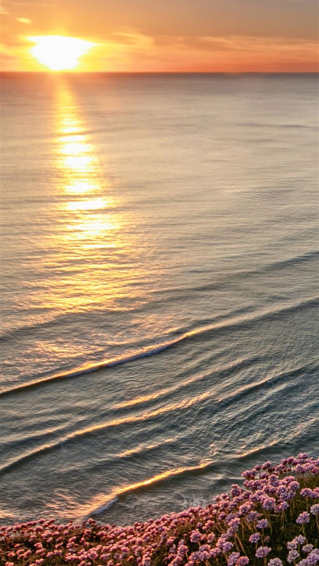 640x1136 beautiful beach horizon - horizon iPhone Wallpaper
