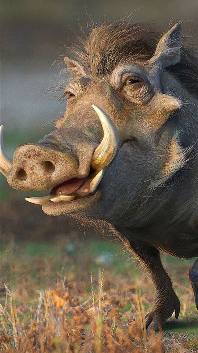 640x1136 pumbaa lion king - behance iPhone Wallpaper