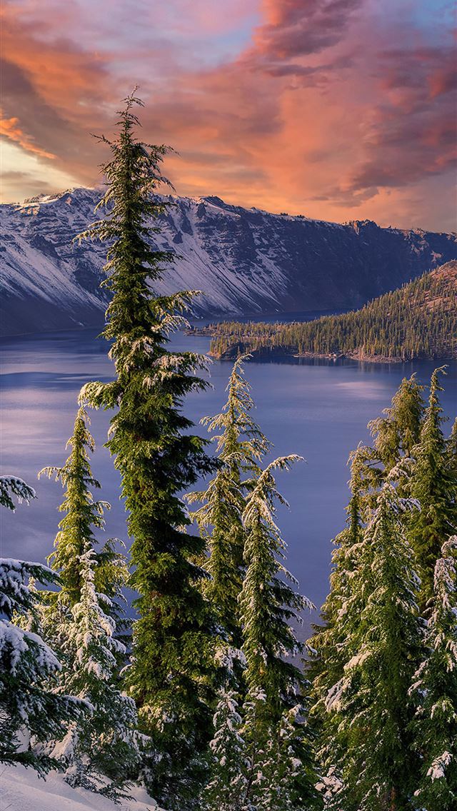 winter snow trees mountains landscape hdr 4k iPhone wallpaper 