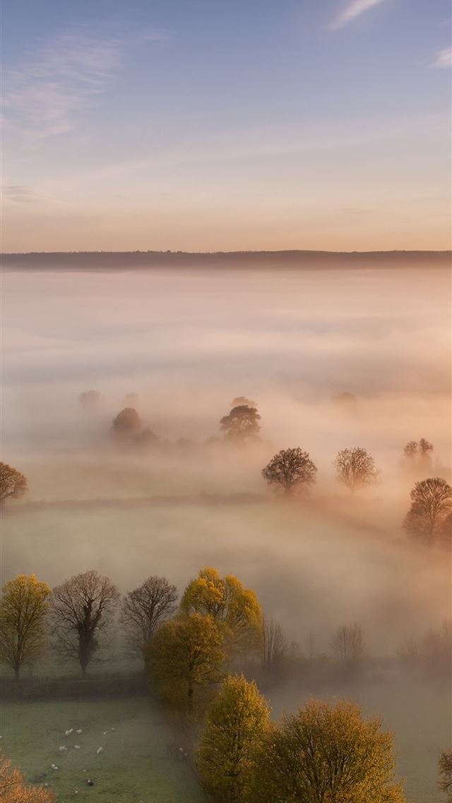 640x1136 sky mist forest fall trees - trees iPhone Wallpaper