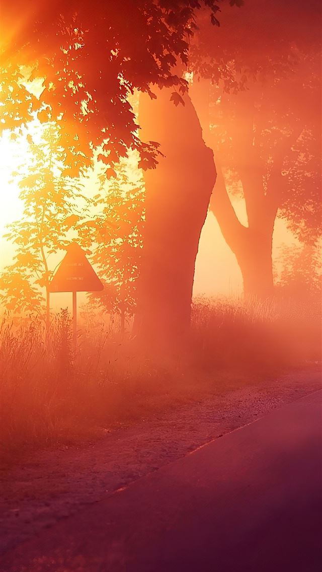 640x1136 sun rays mist road 4k - sunbeam iPhone Wallpaper