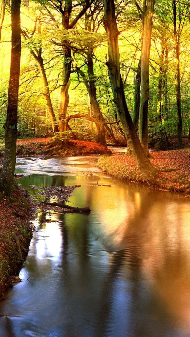640x1136 Creek In The Forest - creek iPhone Wallpaper