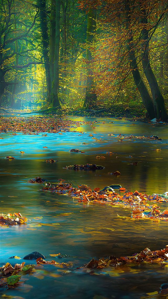 640x1136 river sunbeam autumn 4k - autumn iPhone Wallpaper