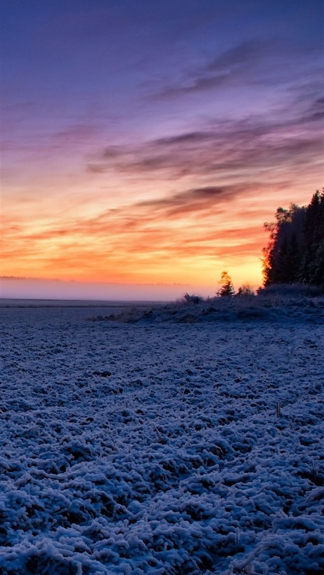 640x1136 field moody sunlight landscape - sunlight iPhone Wallpaper