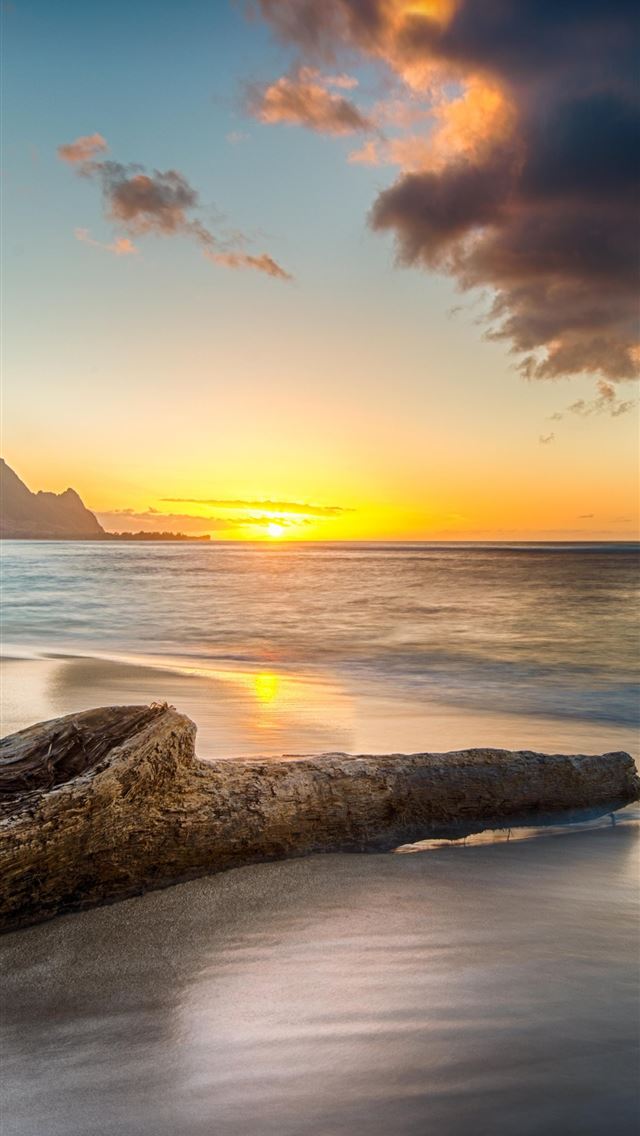 640x1136 driftwood on beach at sunset on north shore of kau... - 8k iPhone Wallpaper