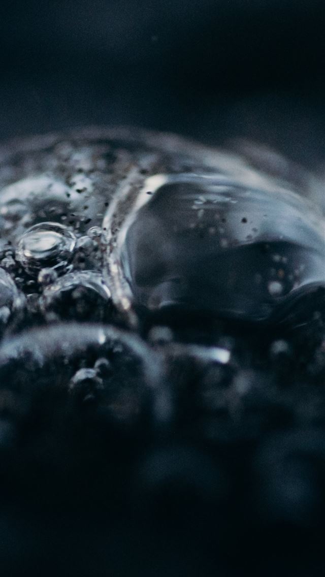 640x1136 Monster from the deep - new zealand iPhone Wallpaper