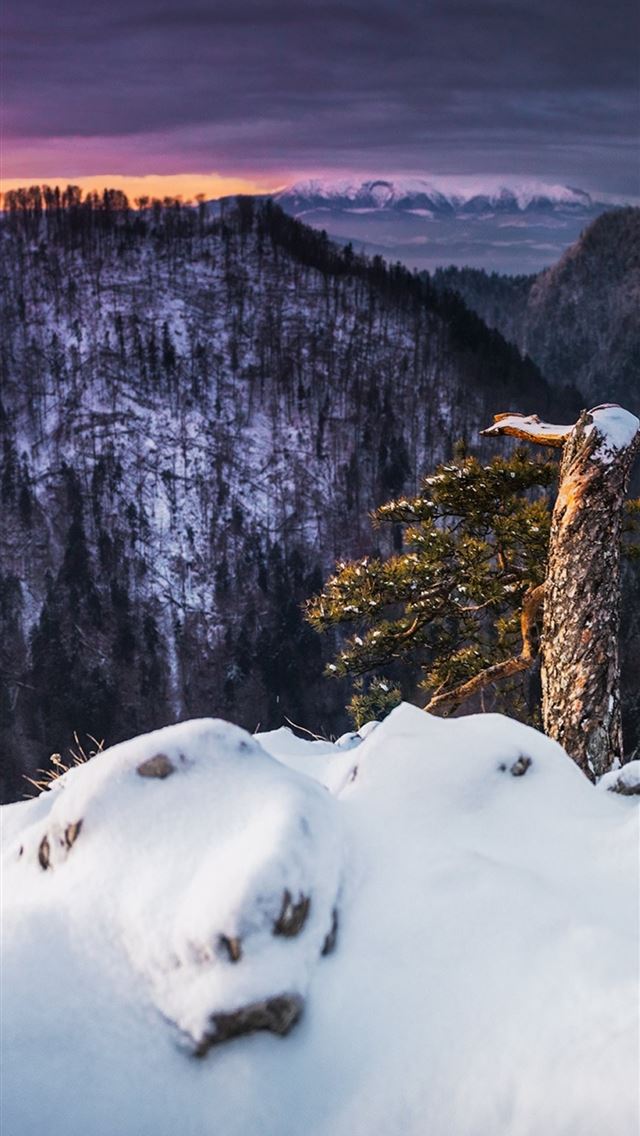 640x1136 winter landscape snow - winter iPhone Wallpaper
