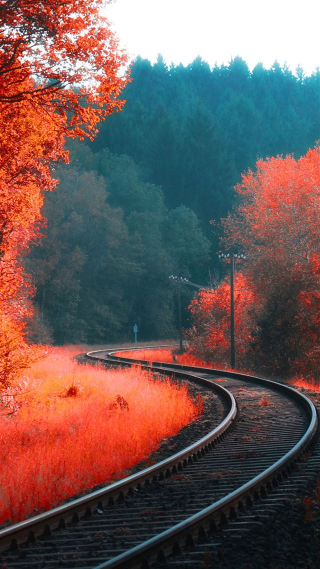 640x1136 railway autumn forest - railroad iPhone Wallpaper