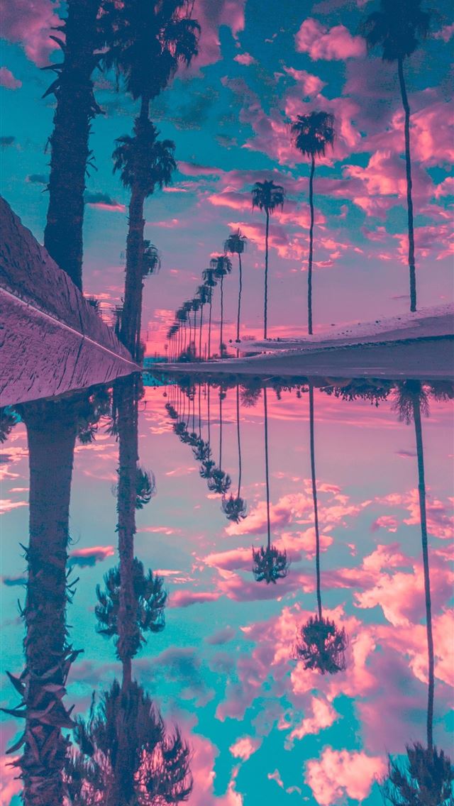 640x1136 palm trees reflection sky - trees iPhone Wallpaper