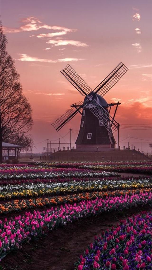 640x1136 dream windmill field - photography iPhone Wallpaper