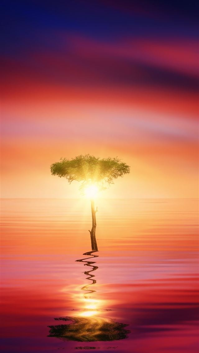 640x1136 sunset ocean tree sun light -  iPhone Wallpaper