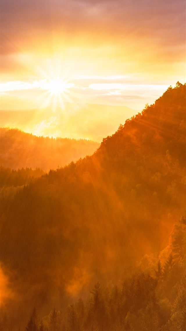 640x1136 forest valley day starting calming sunrise 5k - sunrise iPhone Wallpaper