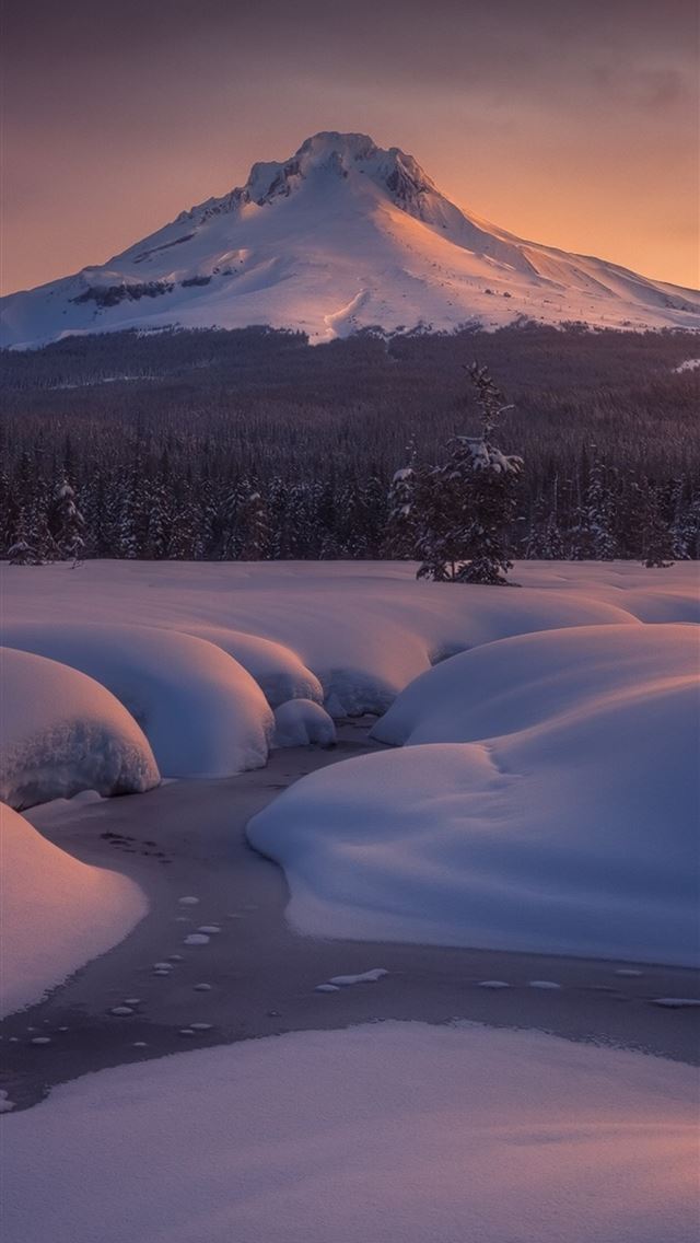640x1136 mount hood - mountains iPhone Wallpaper
