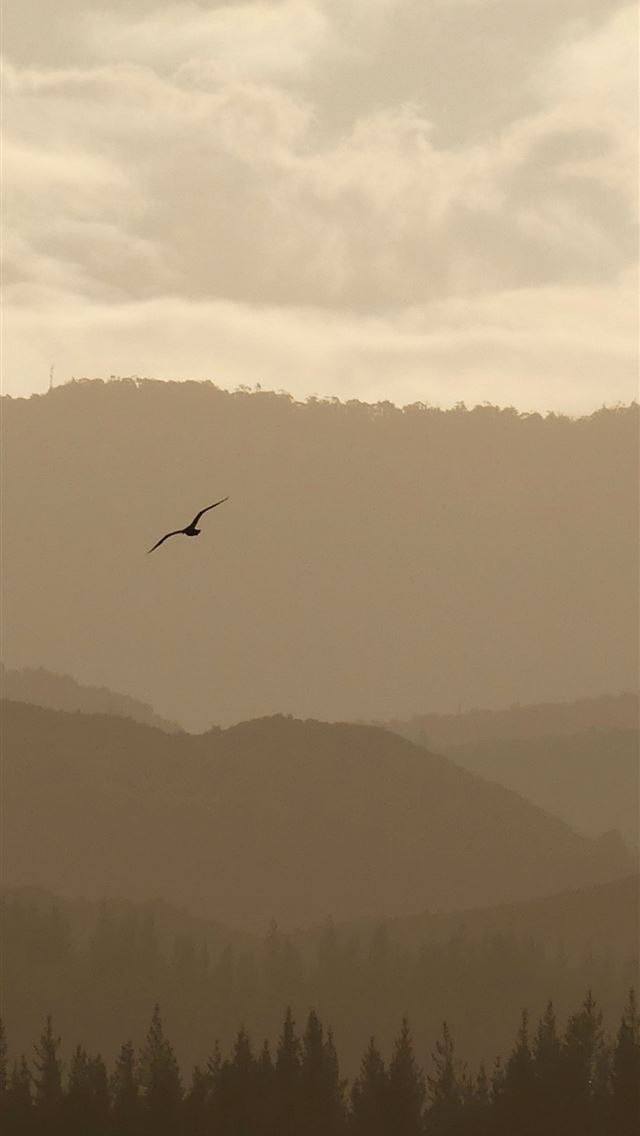 640x1136 abel tasman national park 4k - fog iPhone Wallpaper