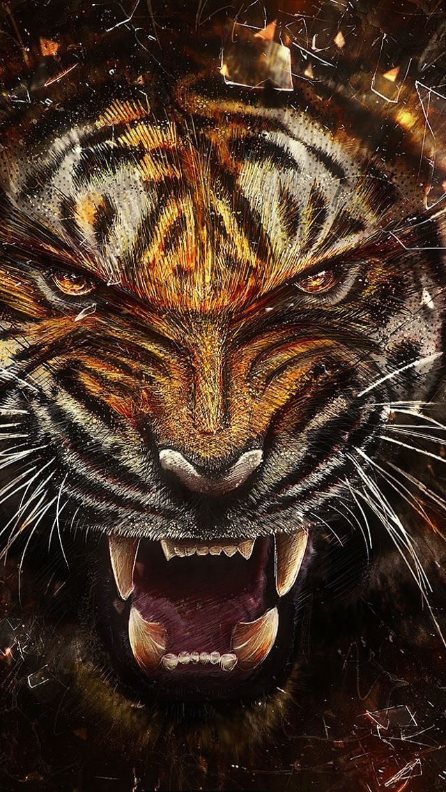 640x1136 Tiger backgrounds -  iPhone Wallpaper