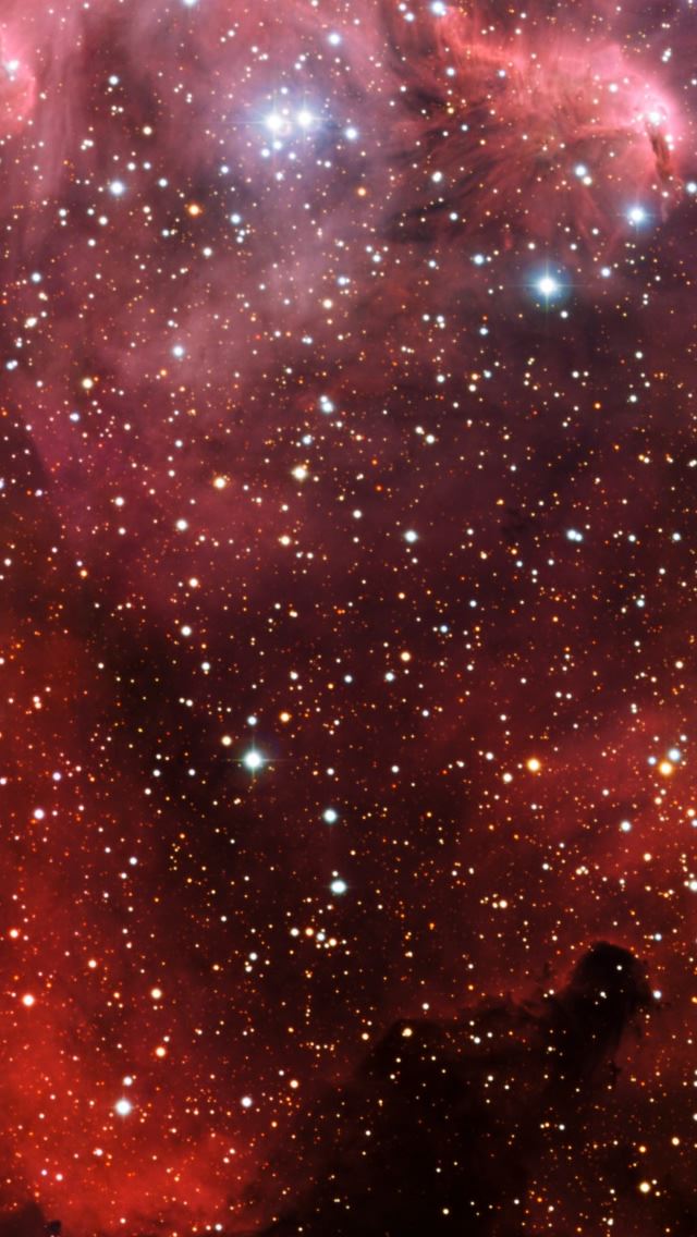 640x1136 Millions Of Stars -  iPhone Wallpaper