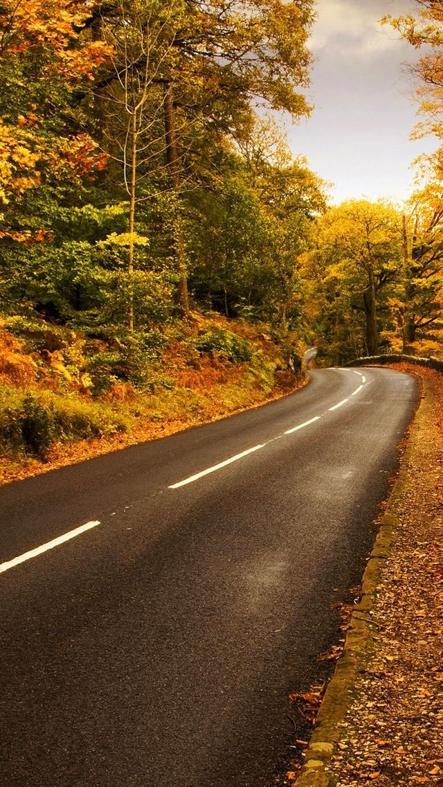 640x1136 Autumn highway - forest iPhone Wallpaper