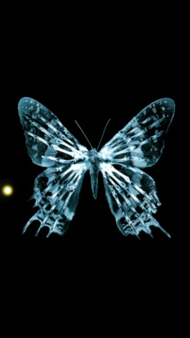 640x1136 Butterfly fringe - skeleton iPhone Wallpaper