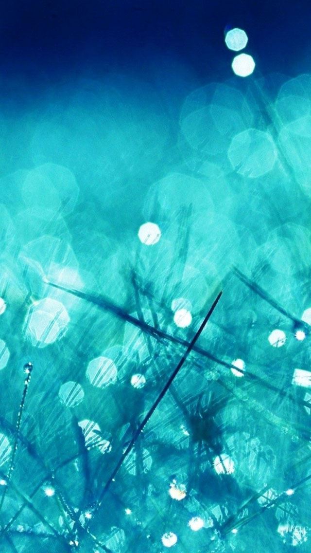 640x1136 Rain Grass Bokeh Water - rain iPhone Wallpaper