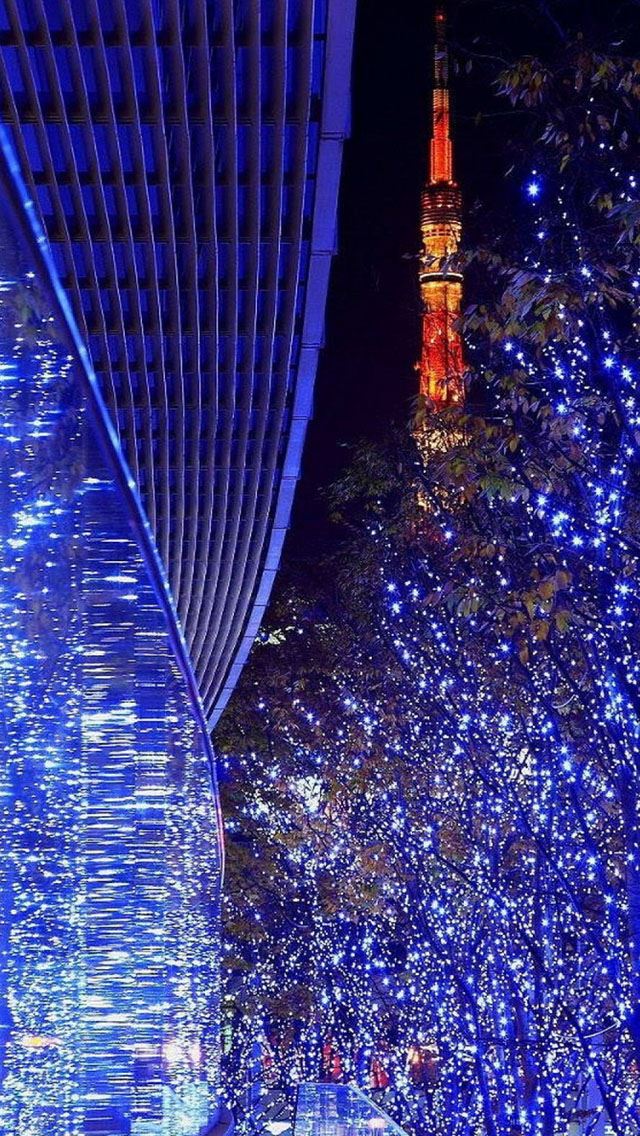 640x1136 Blue lights and reflections - tree iPhone Wallpaper