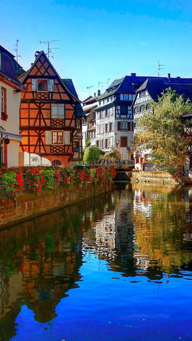 640x1136 Strasbourg Corner - tree iPhone Wallpaper
