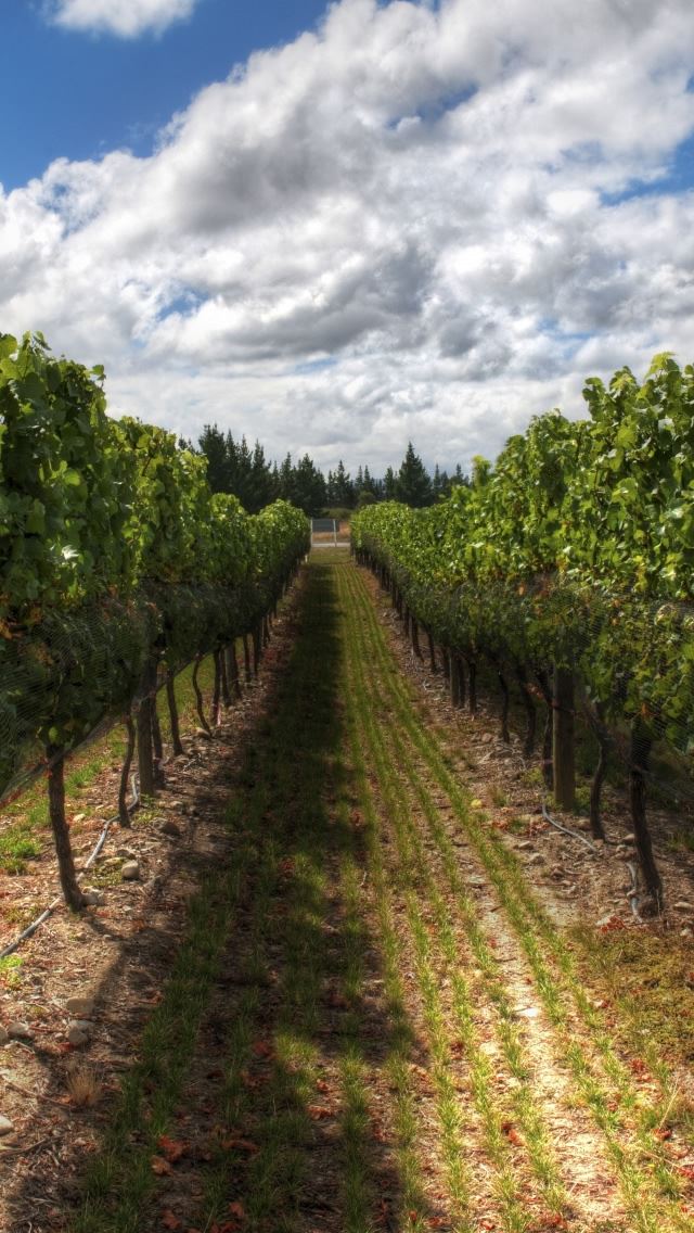 640x1136 The Wines Of New Zealand - cloud iPhone Wallpaper