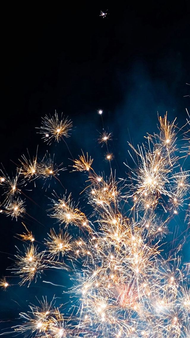 640x1136 Fireworks - bright iPhone Wallpaper