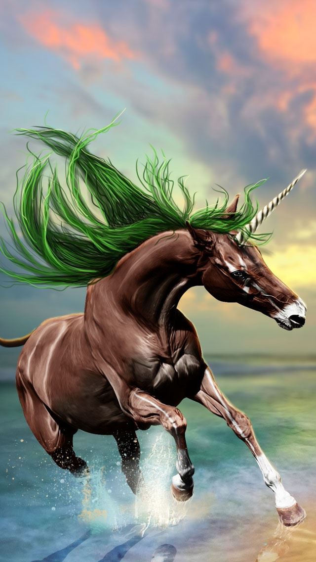 640x1136 Young Horse -  iPhone Wallpaper