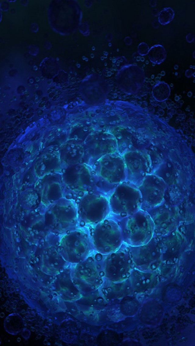 640x1136 Bubble Burst - bubble iPhone Wallpaper