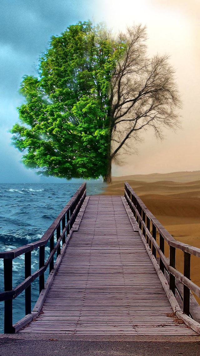 640x1136 Half Life Tree - desert iPhone Wallpaper