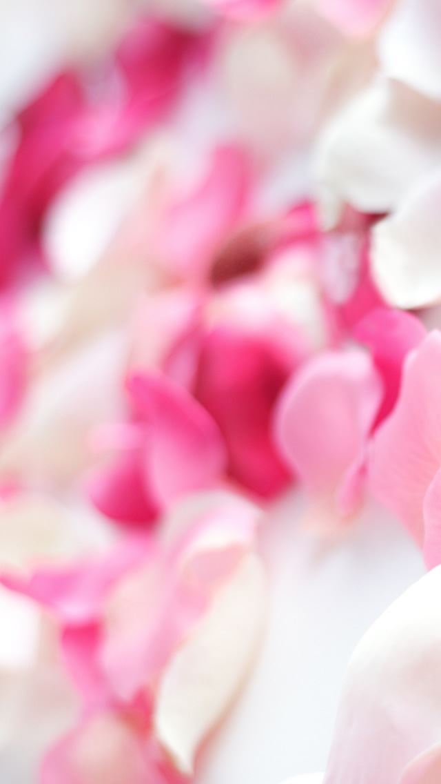 640x1136 Pink Orchid Flowers - beautiful iPhone Wallpaper