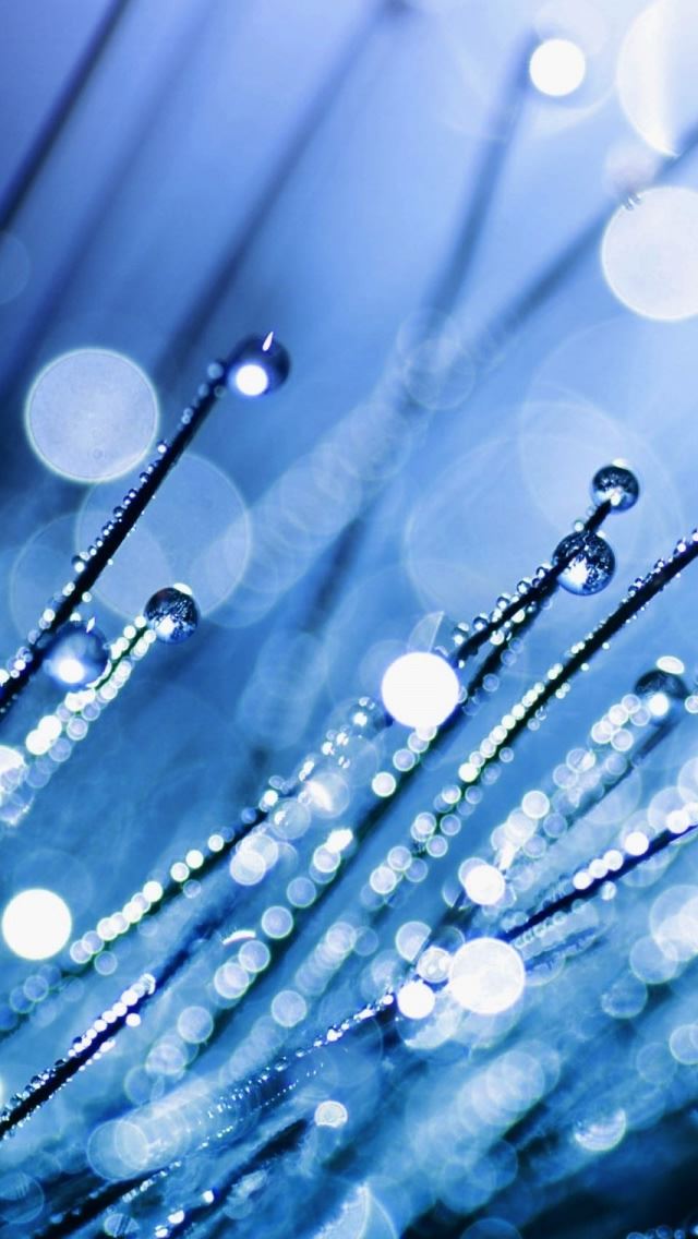 640x1136 Blue Grass Dew - circle iPhone Wallpaper