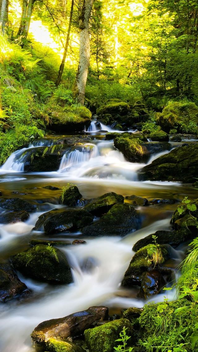 640x1136 Black Forest Germany - stone iPhone Wallpaper