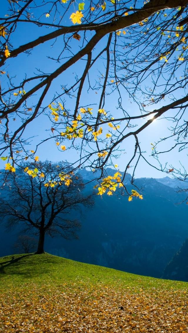 640x1136 Autumn Schachental Switzerland -  iPhone Wallpaper