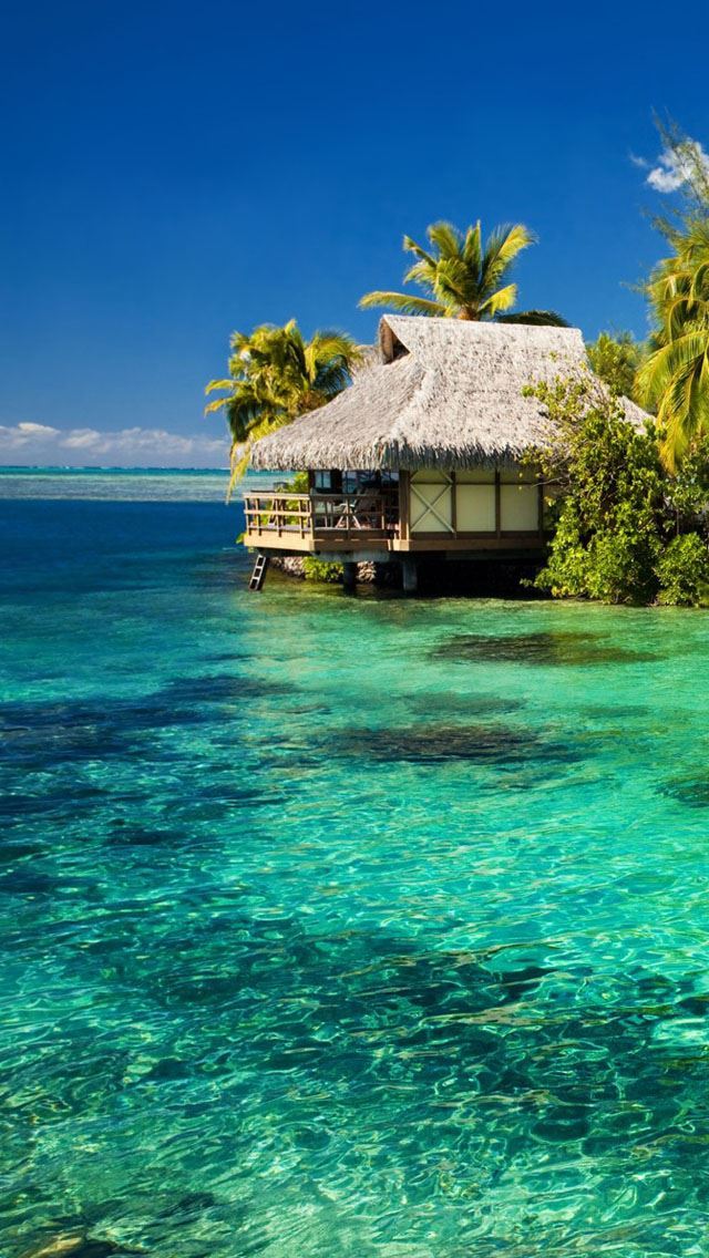1284x2778 Tropical Resort - resort iPhone Wallpaper