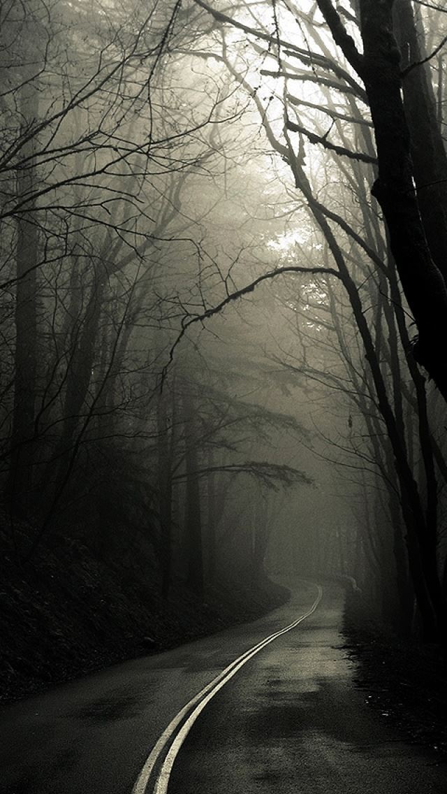 1284x2778 Dark Road Forest - road iPhone Wallpaper