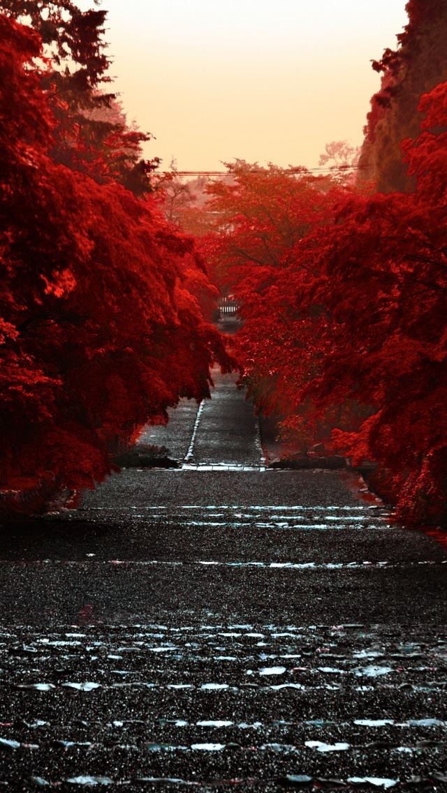 640x1136 Japan Honshu Island -  iPhone Wallpaper
