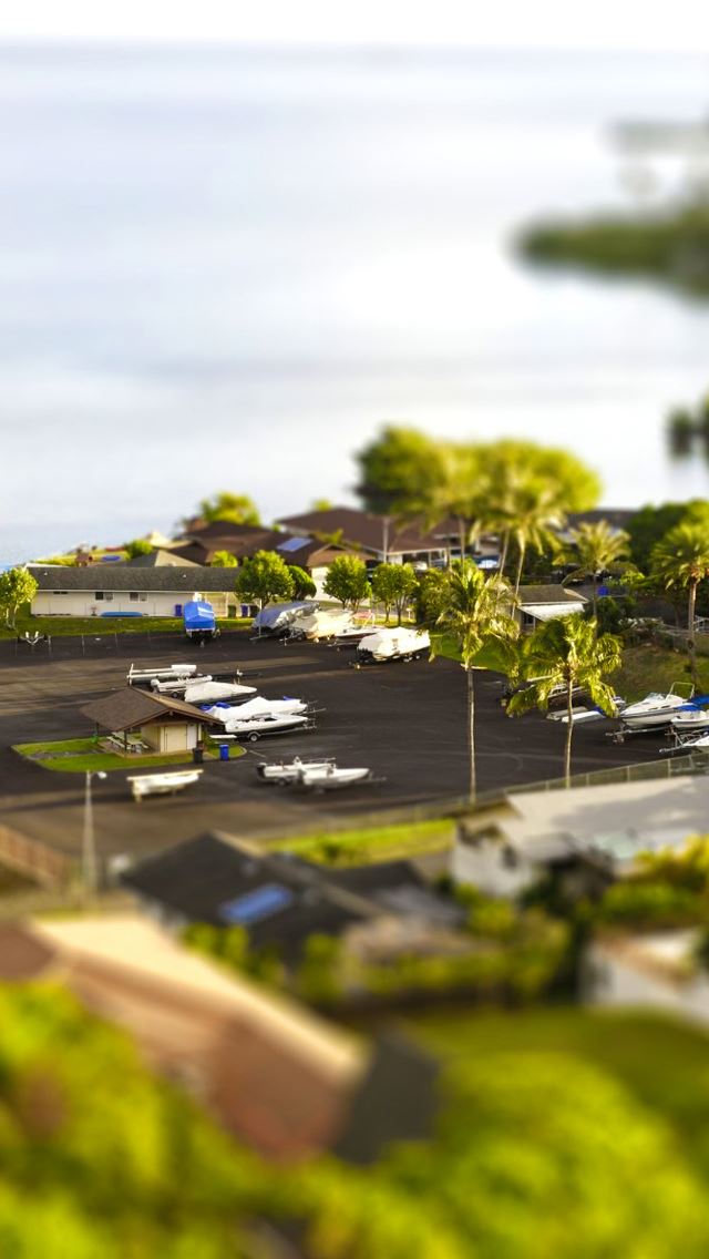640x1136 Tilt Shift Fake - tree iPhone Wallpaper