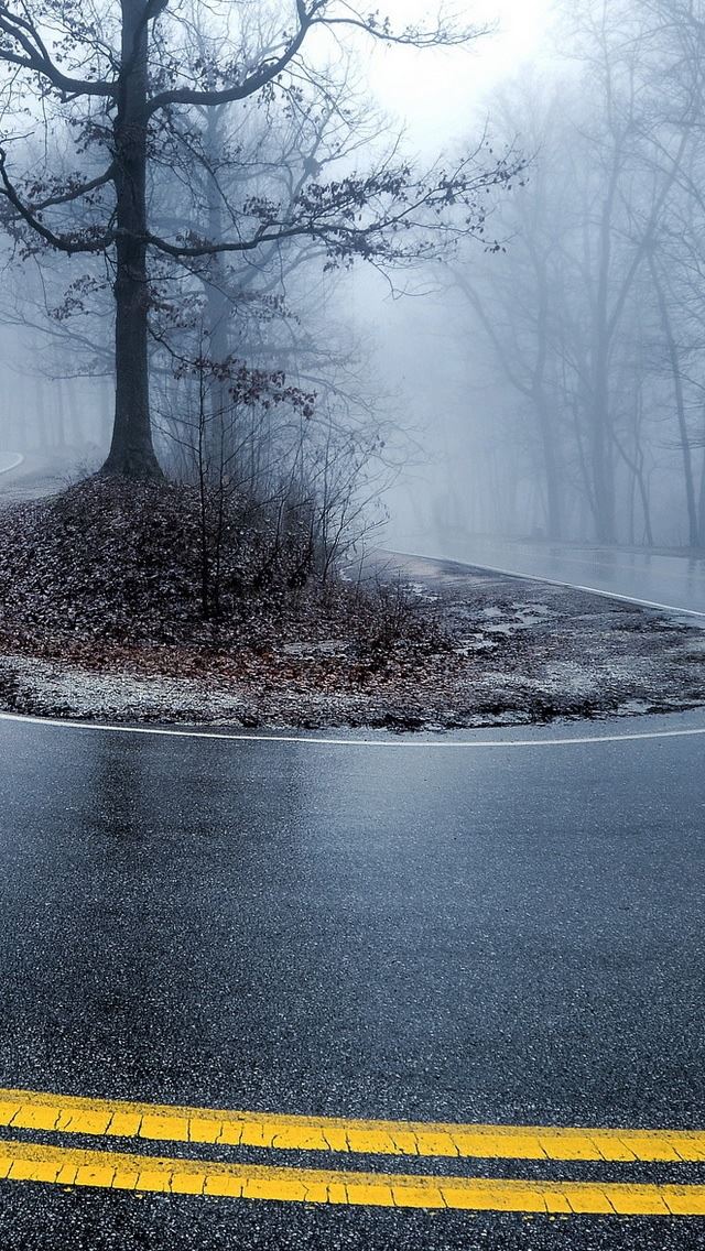 640x1136 Foggy Road 2 - fog iPhone Wallpaper