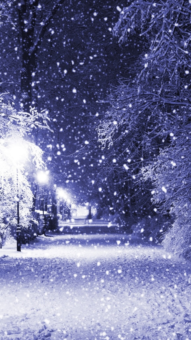 Winter Night Iphone Wallpapers Free Download