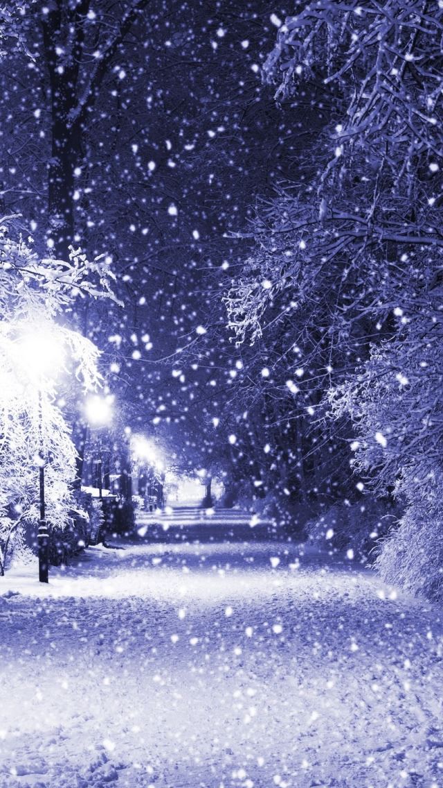 640x1136 Winter Night - snow iPhone Wallpaper