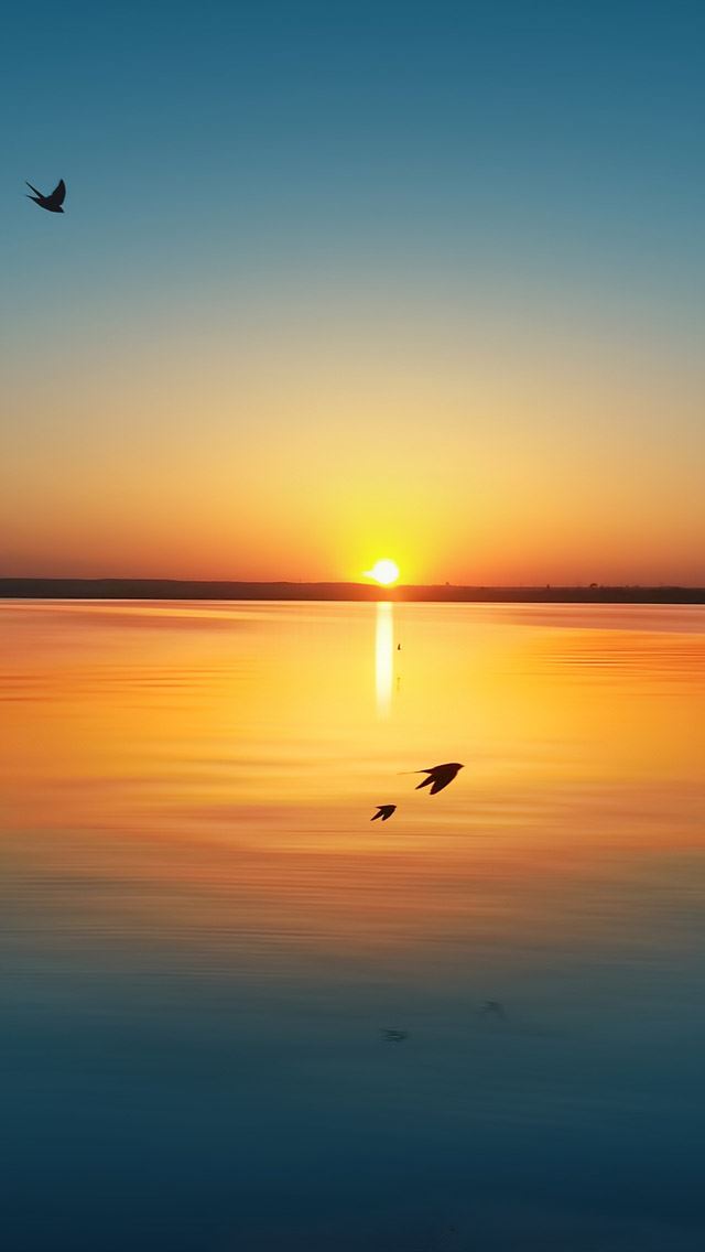 640x1136 Sunset over lake - inverted image iPhone Wallpaper