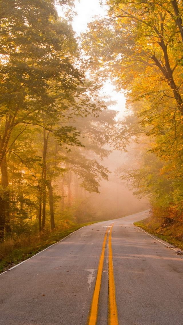640x1136 Landscape 40 - sunshine iPhone Wallpaper