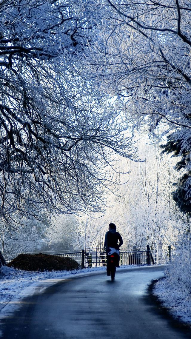 640x1136 Winter Road Scene - winter iPhone Wallpaper