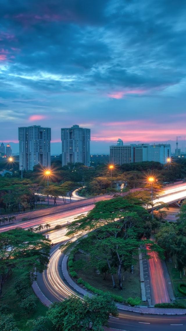 640x1136 Jakarta Indonesia - tree iPhone Wallpaper