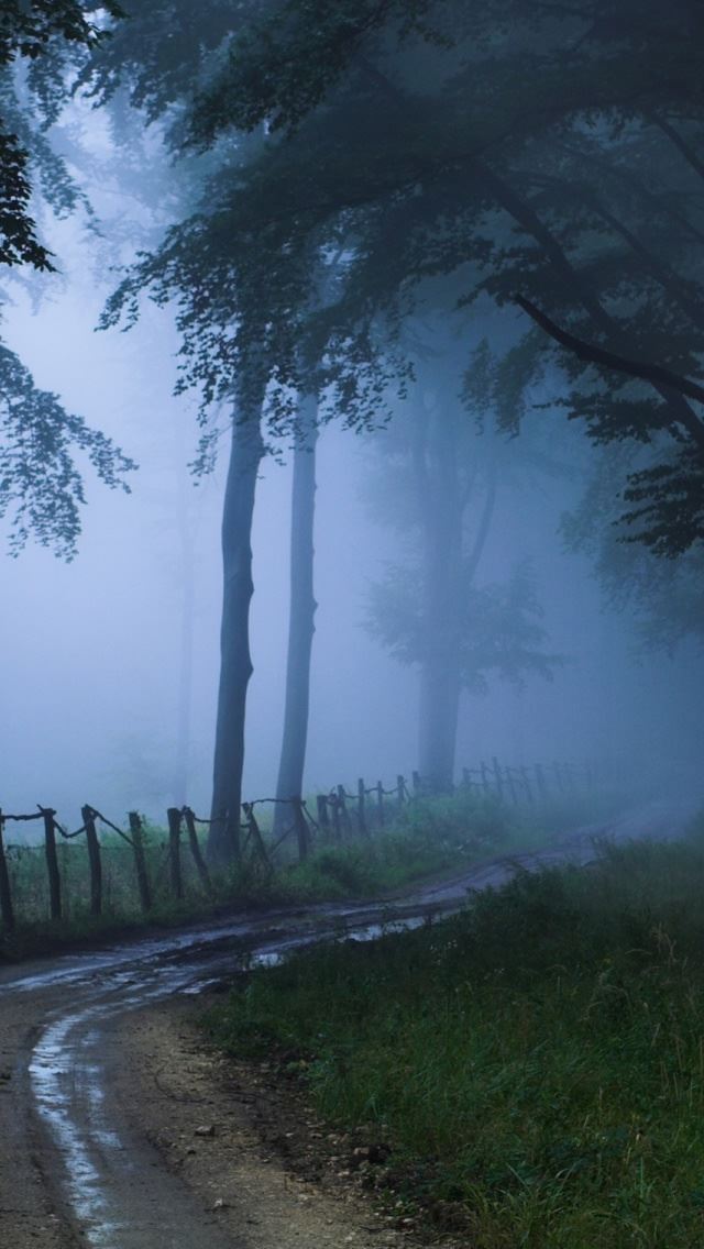 640x1136 Misty Road 2 - wood iPhone Wallpaper