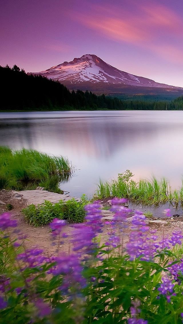 640x1136 Mountain Lake And Flowers - lake iPhone Wallpaper