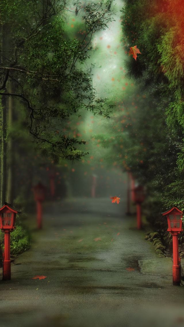 640x1136 Alley in the forest - mist iPhone Wallpaper