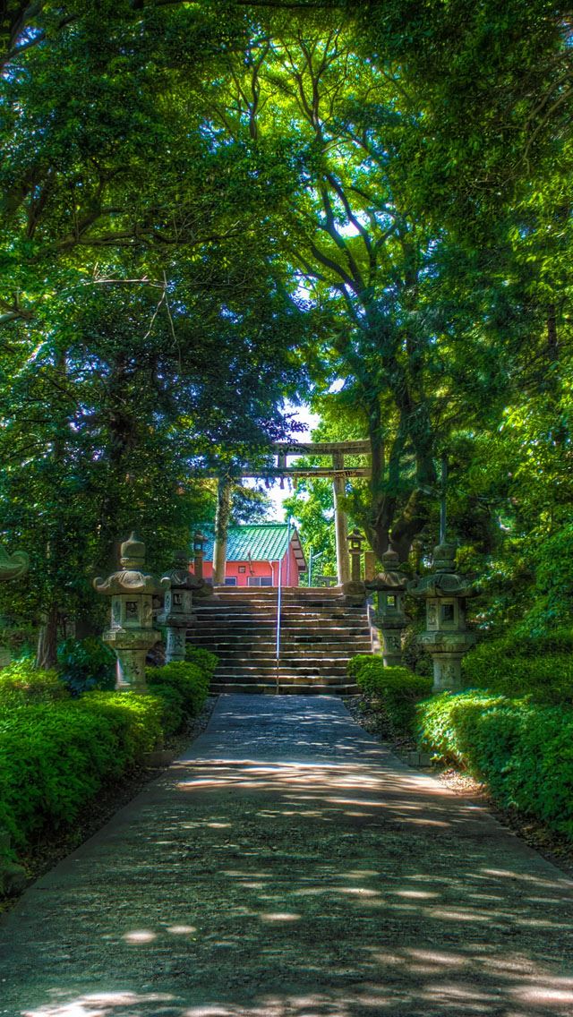 640x1136 Walking towards the shinto shrine - towards iPhone Wallpaper