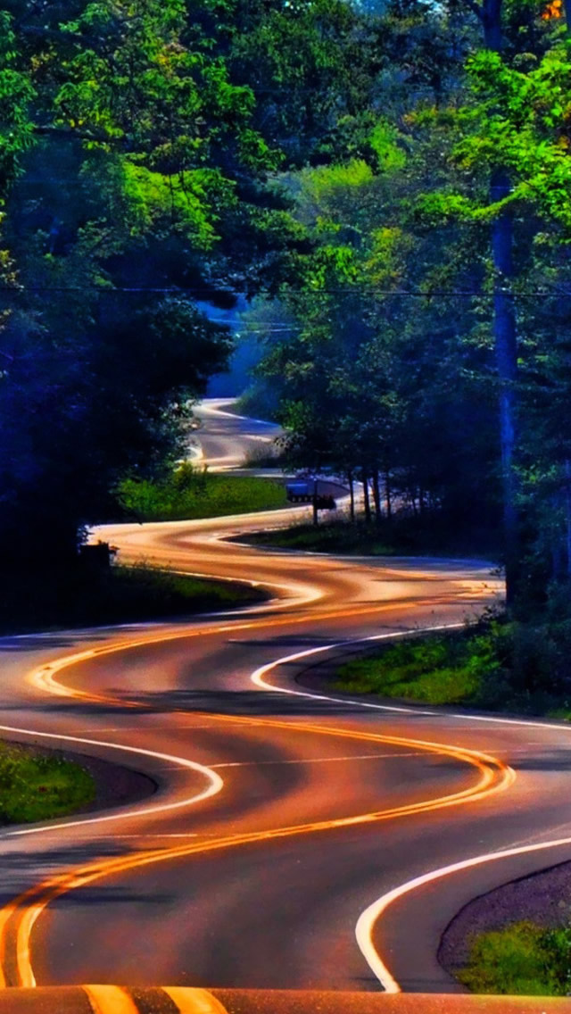 Curvy Forest Road iPhone Wallpapers Free Download